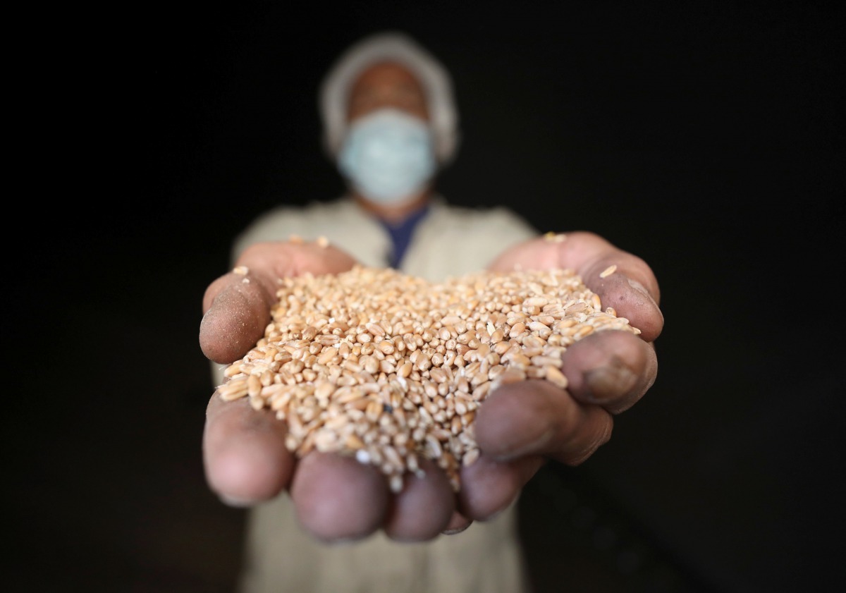A man holds wheat at the grain silos in Cairo, Egypt, October 4, 2017. Reuters / Mohamed Abd El Ghany