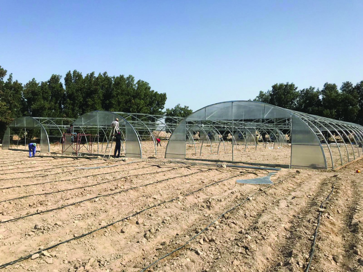 A greenhouse is being set up under the project.