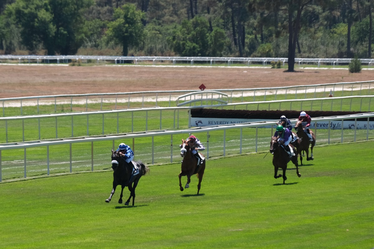 H E Sheikh Mohammed bin Khalifa Al Thani’s Amyr Du Soleil (left) on its way to win the Prix Tidjani (Gr3 / PA) at La Teste De Buch, France, on Friday.