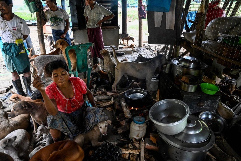 This photo taken on July 9, 2019 shows workers preparing food for the dogs at the Thabarwa Animal Shelter in Mawbe, on the outskirts of Yangon. AFP / Ye Aung Thu