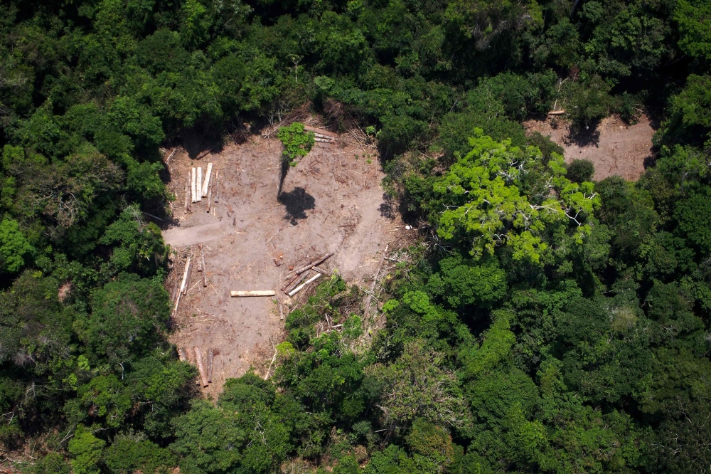 An aerial view of an illegal felling area in the Amazon forest during an overflight by Greenpeace activists over areas of illegal exploitation of timber, as part of the second stage of the 