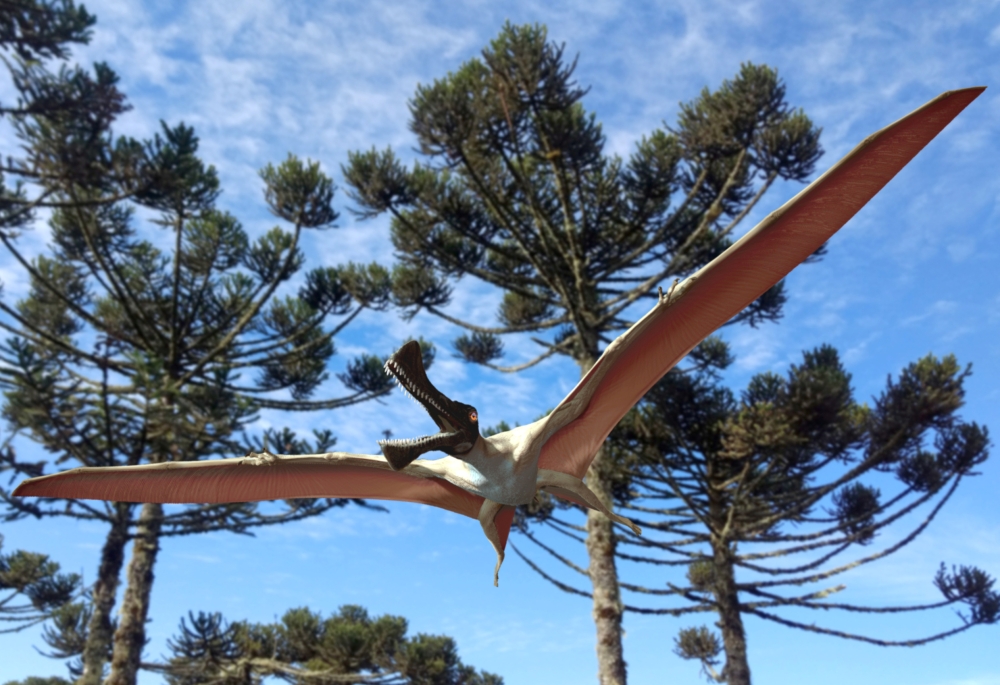 An artist's rendition of the Australian Cretaceous Period pterosaur Ferrodraco lentoni is seen in this image released October 3, 2019. Travis R. Tischler/Handout via Reuters