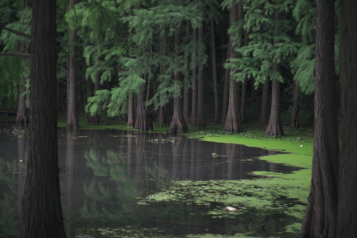 Image used for representation.