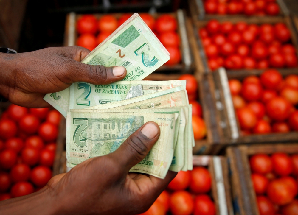 A man counts bond notes near a vegetable market in Harare, Zimbabwe, January 23, 2019. Reuters / Philimon Bulawayo
