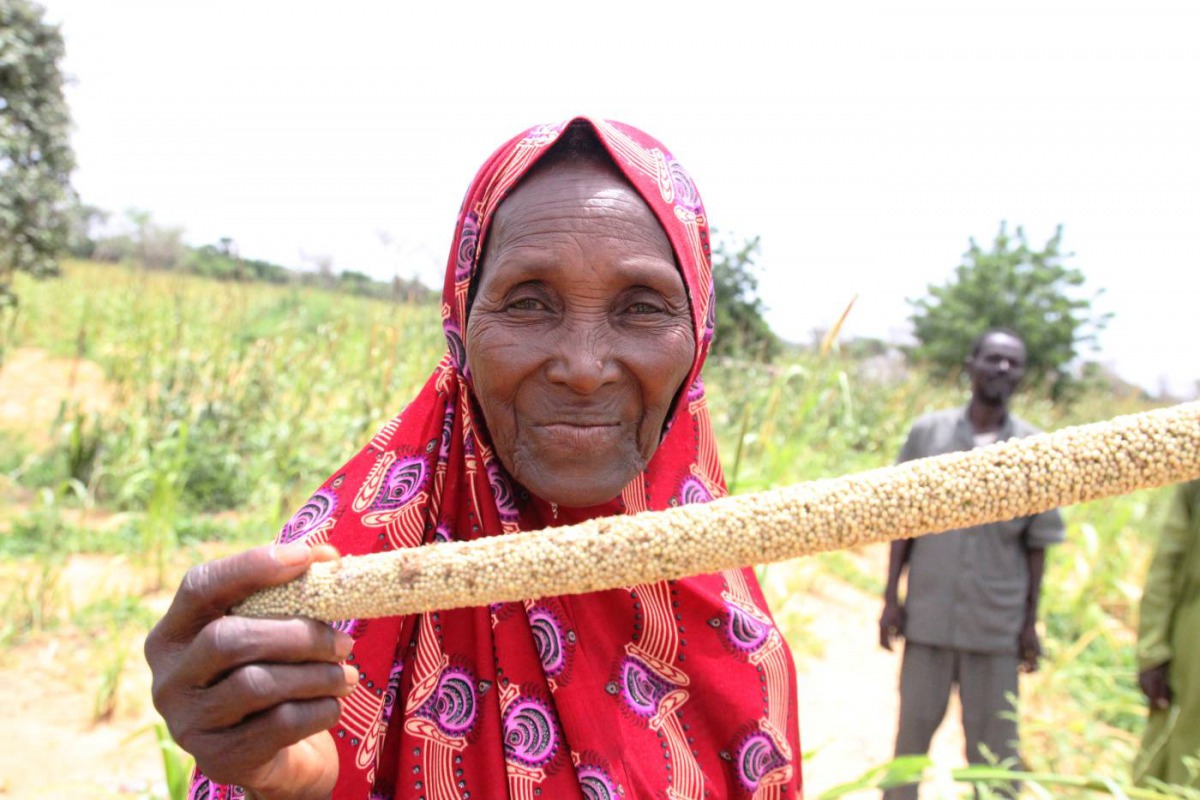 Farmer Aissa Bale Bale holds a millet cob on her plot of land in Borgo Beri, Niger, on Sept. 13, 2019. Thomson Reuters Foundation/Sebastien Malo