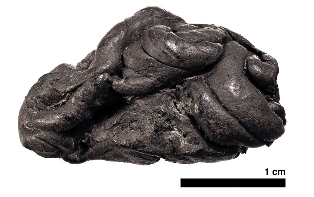 A handout photo provided by the University of Copenhagen on December 17, 2019 shows a 5,700-year-old type of 