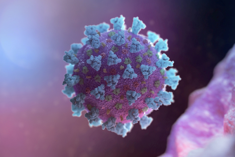 A computer image created by Nexu Science Communication together with Trinity College in Dublin, shows a model structurally representative of a betacoronavirus which is the type of virus linked to COVID-19
