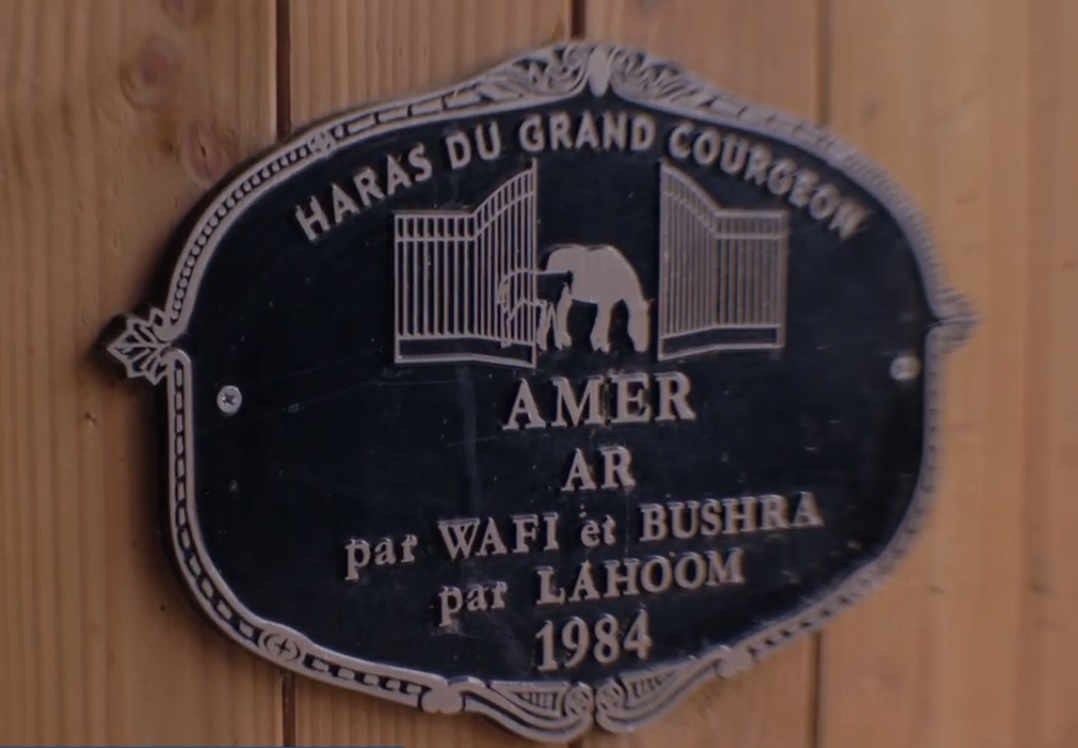 A screencap from the documentary “Amer: An Arabian Legend” helmed by Qatari filmmaker Jassim Al Rumaihi.