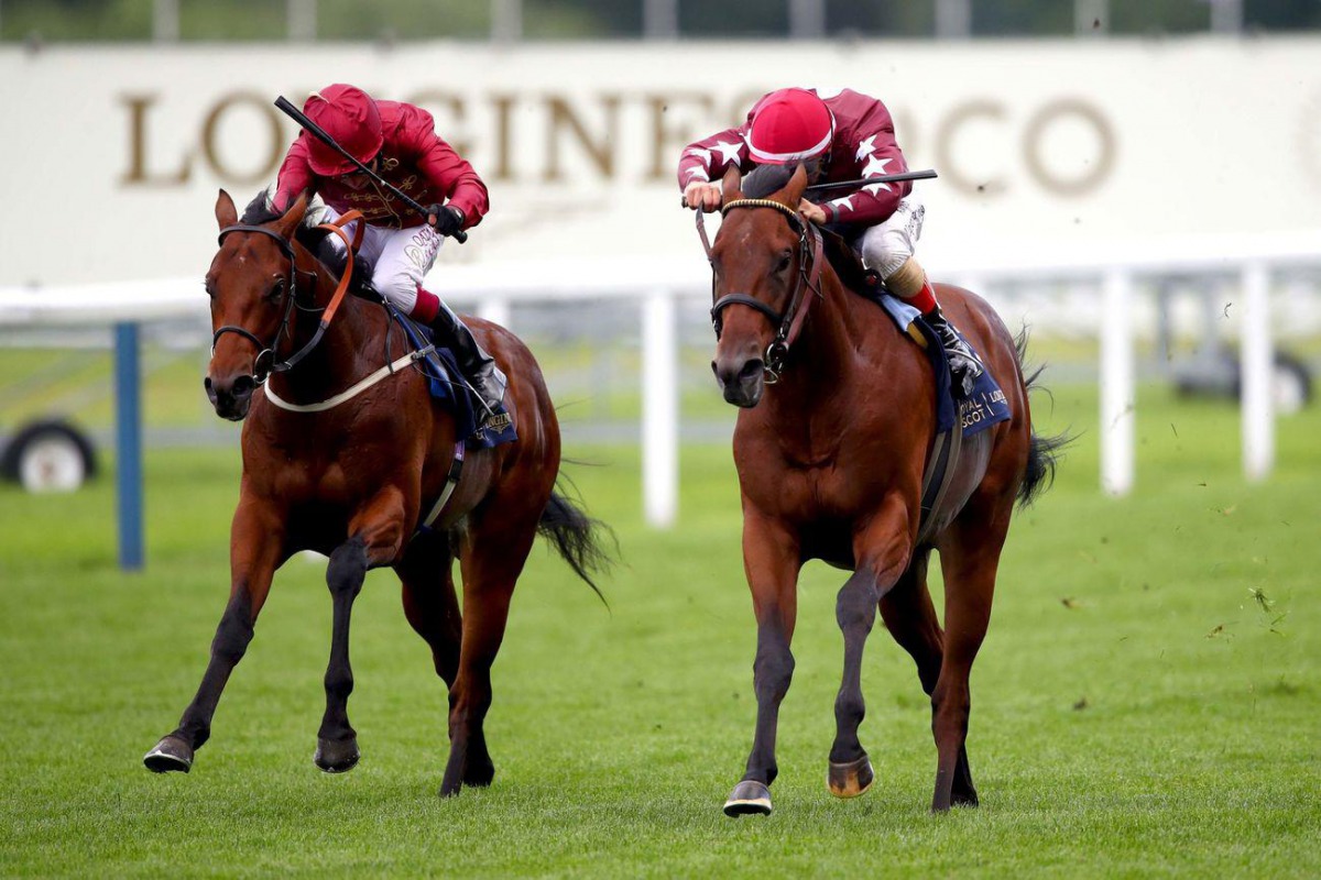 The Lir Jet came to snatch victory by a neck in the final strides