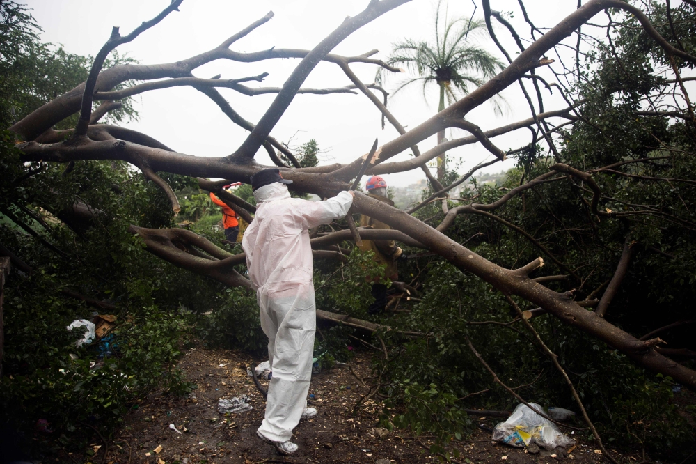 Fire and rescue members cut the branches of a tree that fell under the heavy rain caused by the Isaias Storm in Santo Domingo, on July 30, 2020. / AFP / afp / Erika SANTELICES