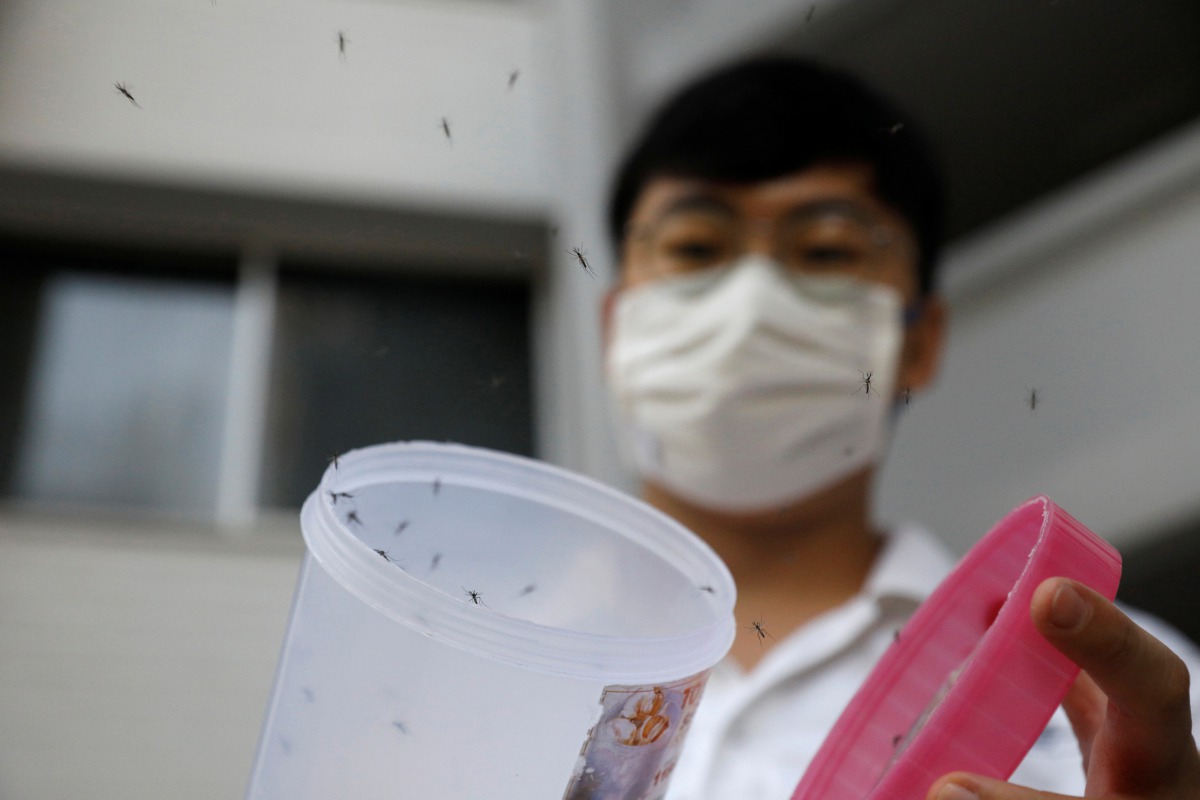 Male Wolbachia-aedes aegypti mosquitos are released at a public housing estate test site in Singapore August 27, 2020. Picture taken August 27, 2020. REUTERS/Edgar Su

