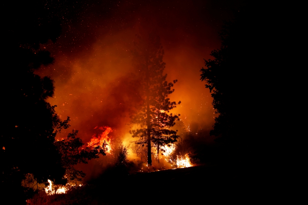 FILE PHOTO: A tree engulfed in flames is seen during the Creek Fire in Tollhouse, California, U.S. September 8, 2020. REUTERS/Stephen Lam