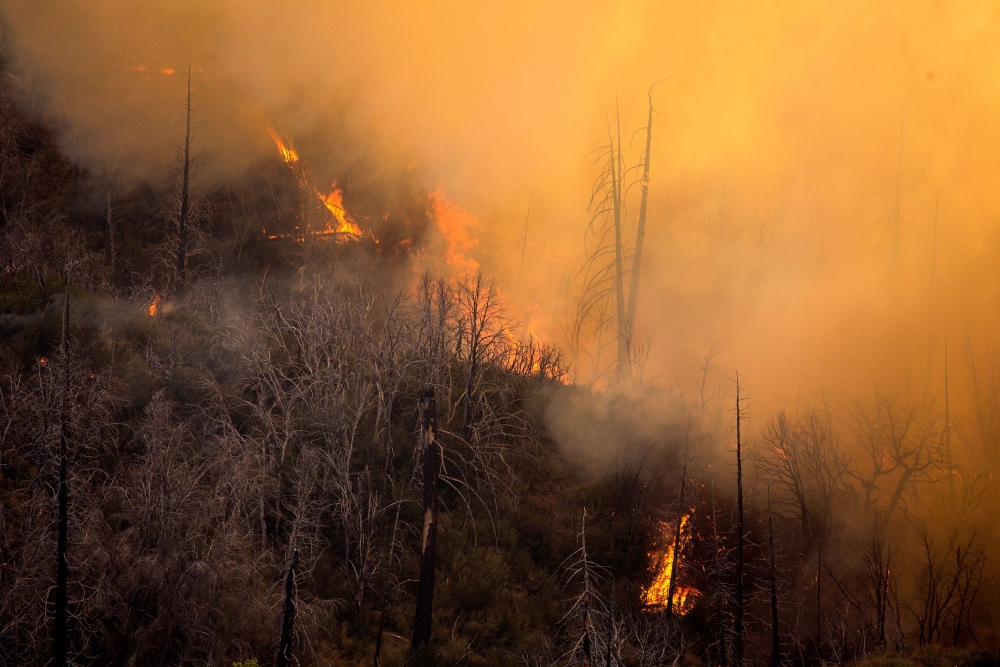 A wildfire burns in the Angeles National Forest during the Bobcat Fire in Los Angeles, California, U.S., September 17, 2020. REUTERS/Ringo Chiu