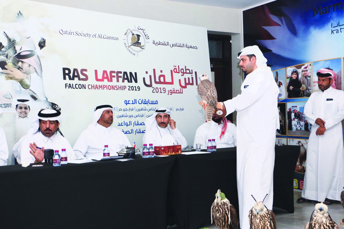 A falcon being inspected during the registration.
