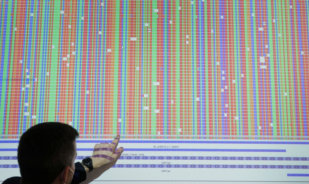 A scientist at Bioscientia laboratories points at a sequenced and analysed mutant version of the coronavirus, as the spread of COVID-19 continues, at the Bioscientia headquarters in Ingelheim, Germany, January 27, 2021. REUTERS/Kai Pfaffenbach
