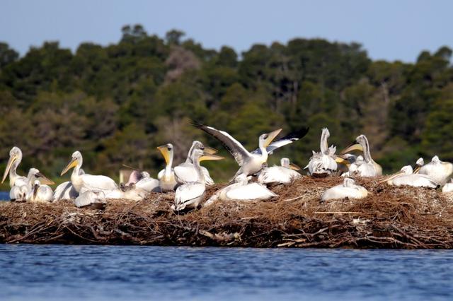 File photo used for representation only
