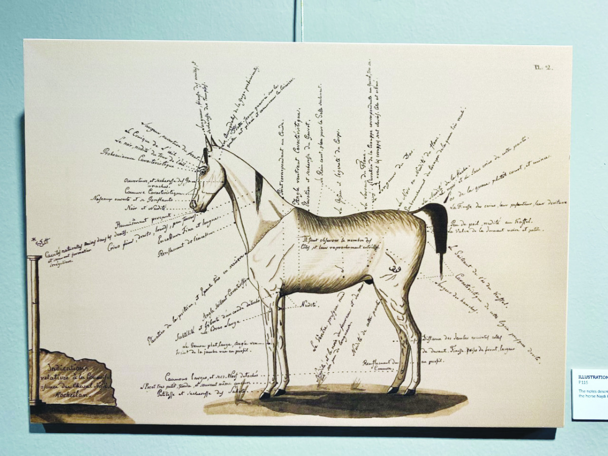 One of the illustrations on display at the exhibition launched yesterday at Katara. Pic: Raynald C Rivera | The Peninsula 