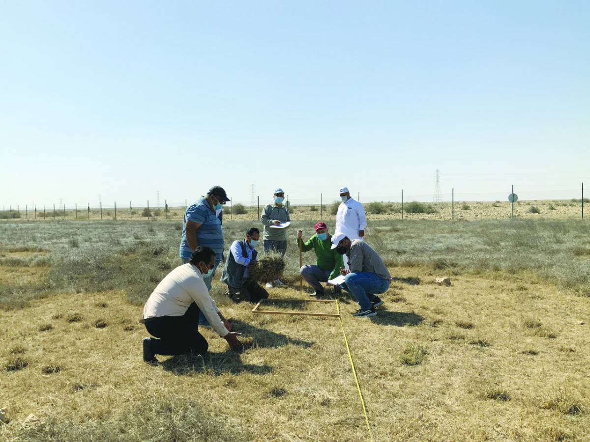 MME officials during a field study of the impact of the grazing ban on green areas.