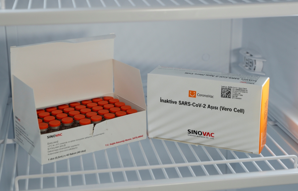 Boxes of the Sinovac's CoronaVac COVID-19 vaccine are pictured in a refrigerator at the Sancaktepe Sehit Dr. Ilhan Varank Training and Research Hospital in Istanbul, Turkey January 14, 2021. REUTERS/Murad Sezer/File Photo