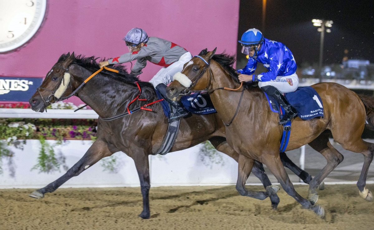 Saeed Nasser Al Qadi’s Zarandi with Soufiane Saadi in the saddle leads the Mesaimeer Cup race as Tomas Lukasek-helmed Al Shaman follows. 