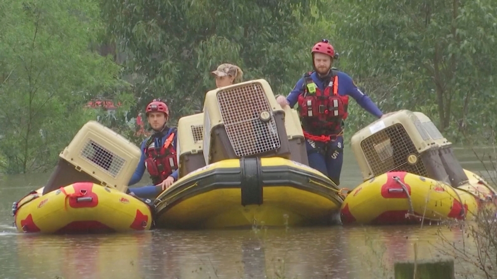 Dogs in carriers are transported on inflatable boats by State Emergency Service personnel during a rescue amid rising floodwaters in Sydney, Australia, March 22, 2021, in this still image taken from video provided by Reuters TV. REUTERS/via REUTERS TV