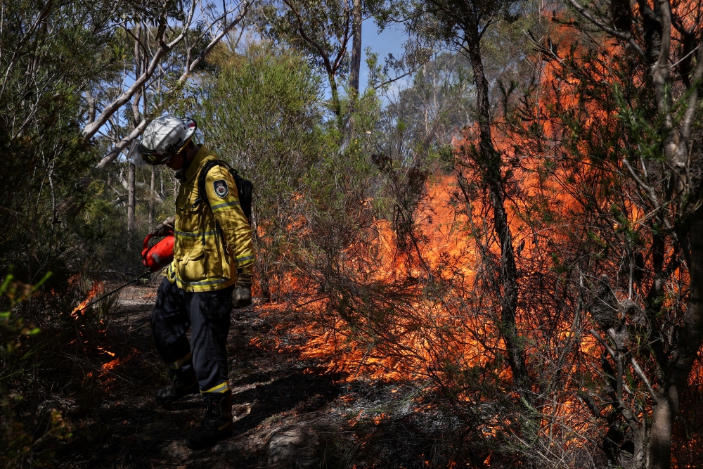 A firefighter is seen as New South Wales Rural Fire Service personnel conduct a controlled burn to eliminate fuels before the upcoming bushfire season in the Arcadia suburb of Sydney, Australia, September 8, 2020. REUTERS/Loren Elliott/File Photo