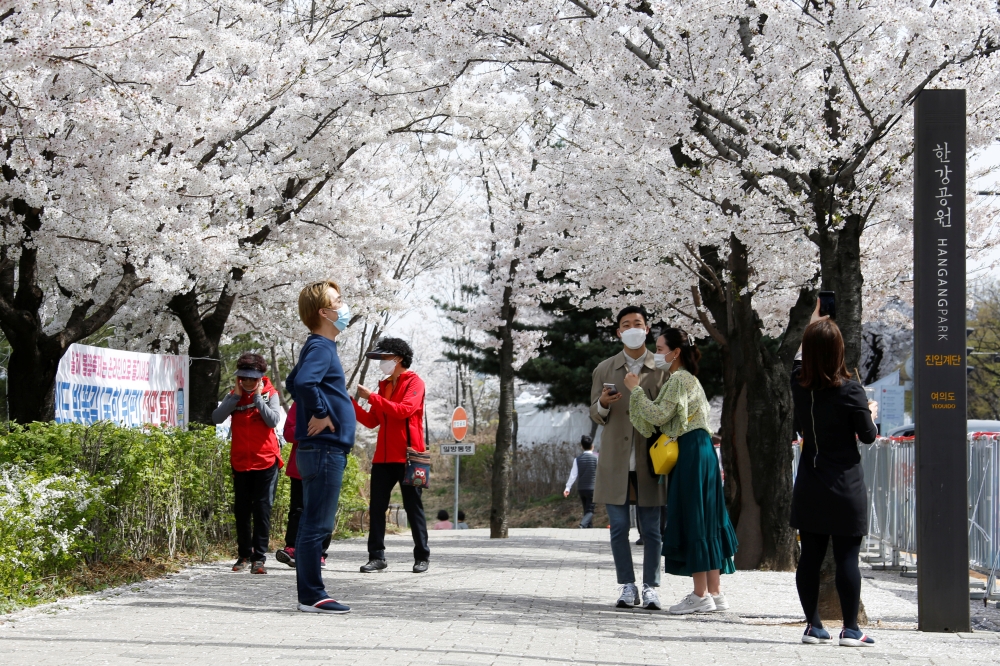 People walk near a cherry blossom street, closed to avoid the spread of the coronavirus disease (COVID-19), in Seoul, South Korea, April 1, 2021. REUTERS/Heo Ran