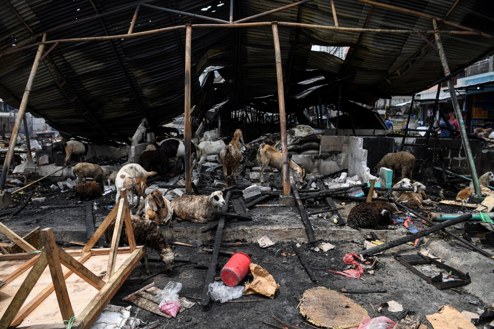Animals are pictured at the burned stall after the fire in the traditional market in Jakarta, Indonesia April 10, 2021, in this photo taken by Antara Foto/Sigid Kurniawa/via Reuters.