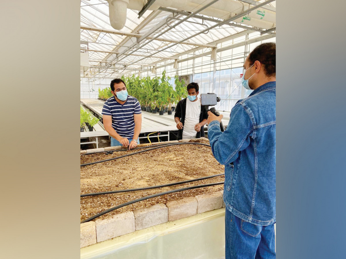 A virtual workshop on food security.