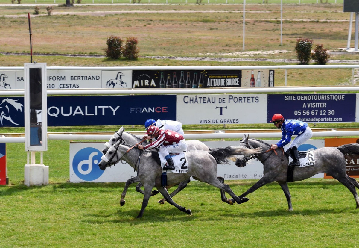 Olivier Peslier guides H H Sheikh Abdullah bin Khalifa Al Thani's Abbes to victory
at La Teste-de-Buch Racecourse in France, yesterday. Pic: Robert Polin