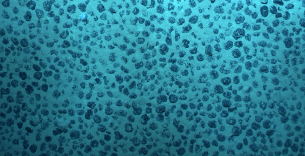 Rocks called 'polymetallic nodules' are seen on the seabed in the Clarion Clipperton Zone of the Pacific Ocean, April 2021. GSR/Handout via REUTERS