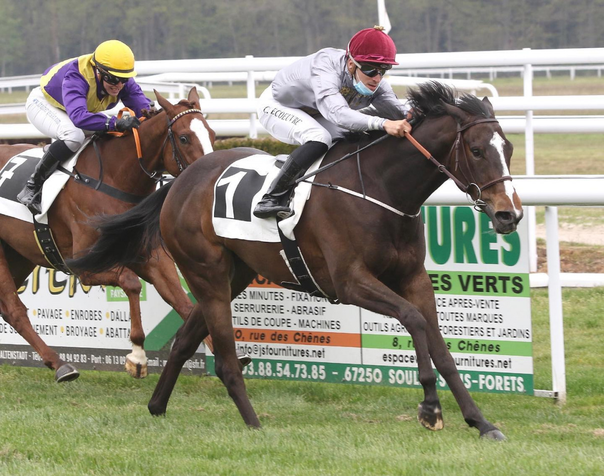 Jockey Clement
Lecœuvre guides Al
Shaqab Racing's Al
Capdamunt to victory.
PIC: FREDERIC DIEHL