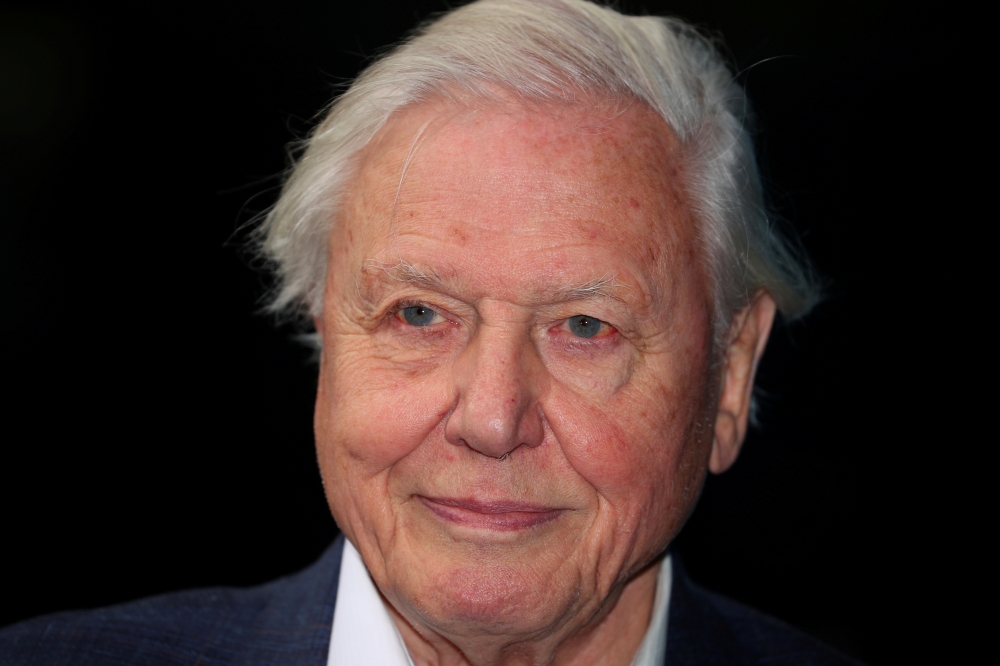 Broadcaster and film maker David Attenborough attends the premiere of Blue Planet II at the British Film Institute in London, Britain, September 27, 2017. REUTERS/Hannah McKay/File Photo