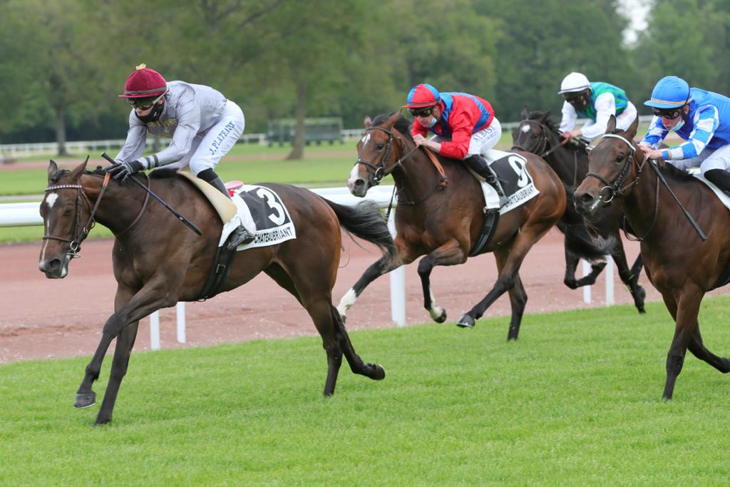 Al Wakrah, ridden by Jordan Plateaux, on his way to win the Prix de Choisel at Chateaubriant racetrack, yesterday. Pic: Jean Charles Briens