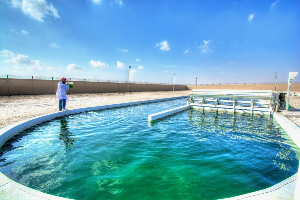 Qatar researchers develop biological technology for treatment of