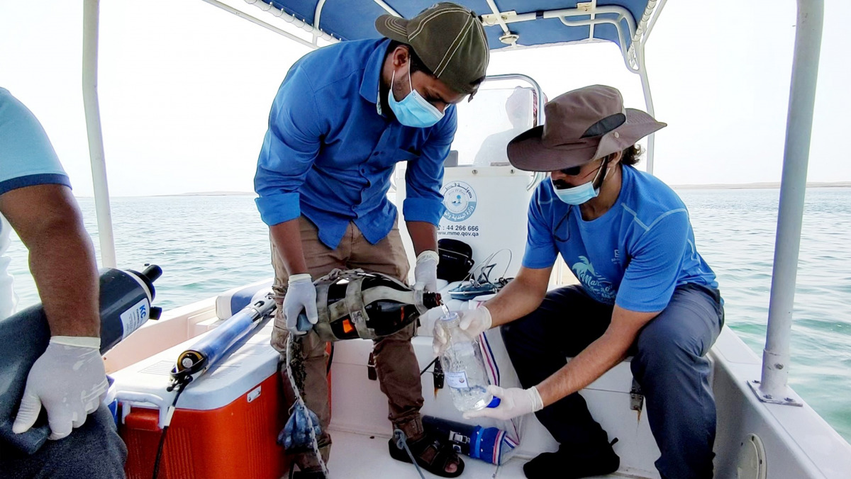A research team conducting a study on fish deaths in Khor Al Adaid area.