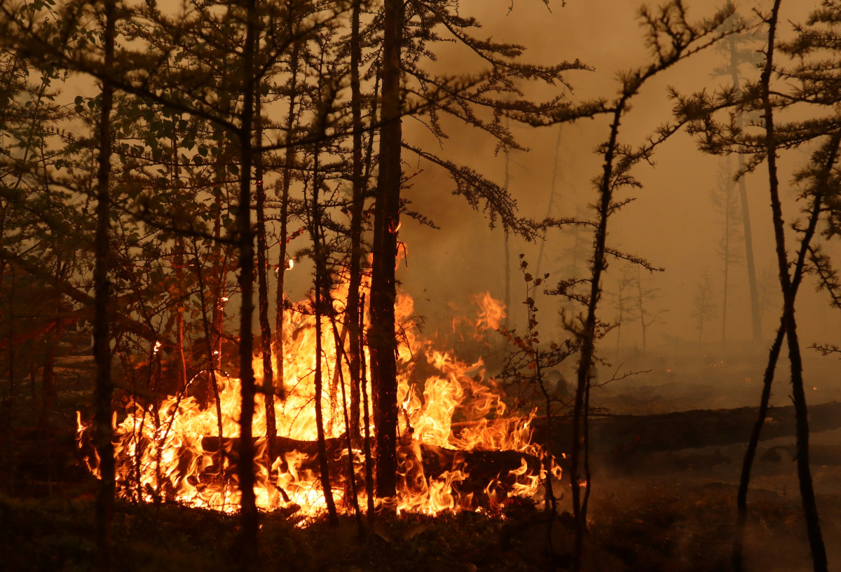Fire burns in a forest near the village of Magaras in the region of Yakutia, Russia July 17, 2021. Picture taken July 17, 2021. REUTERS/Roman Kutukov

