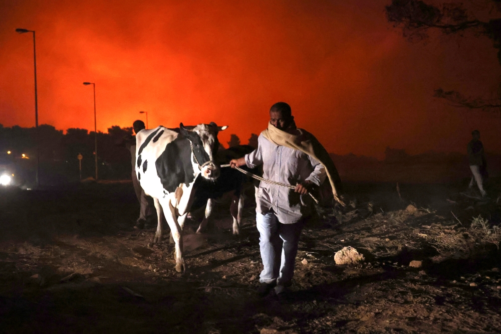 Residents evacuate the area with their animals as a wildfire rages in the suburb of Thrakomakedones, north of Athens, Greece, on August 7, 2021. Reuters/Giorgos Moutafis