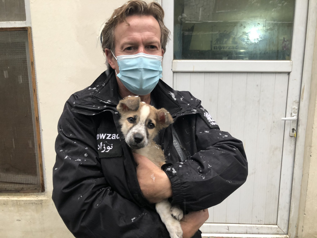 Nov 15, 2020 photo from Twitter / @PenFarthing