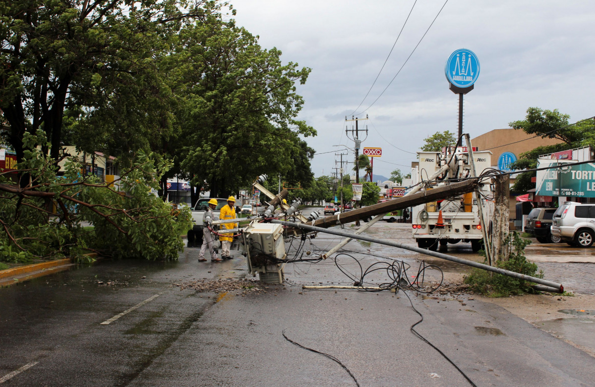 A fallen tree and electricity pole are pictured as Hurricane Nora approaches Manzanillo, in Colima state, Mexico August 28, 2021. REUTERS/Jesus Lozoya 