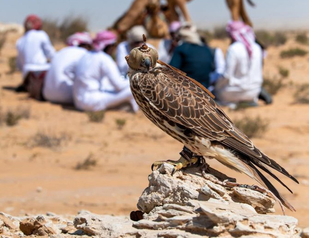 File photo used for representation only