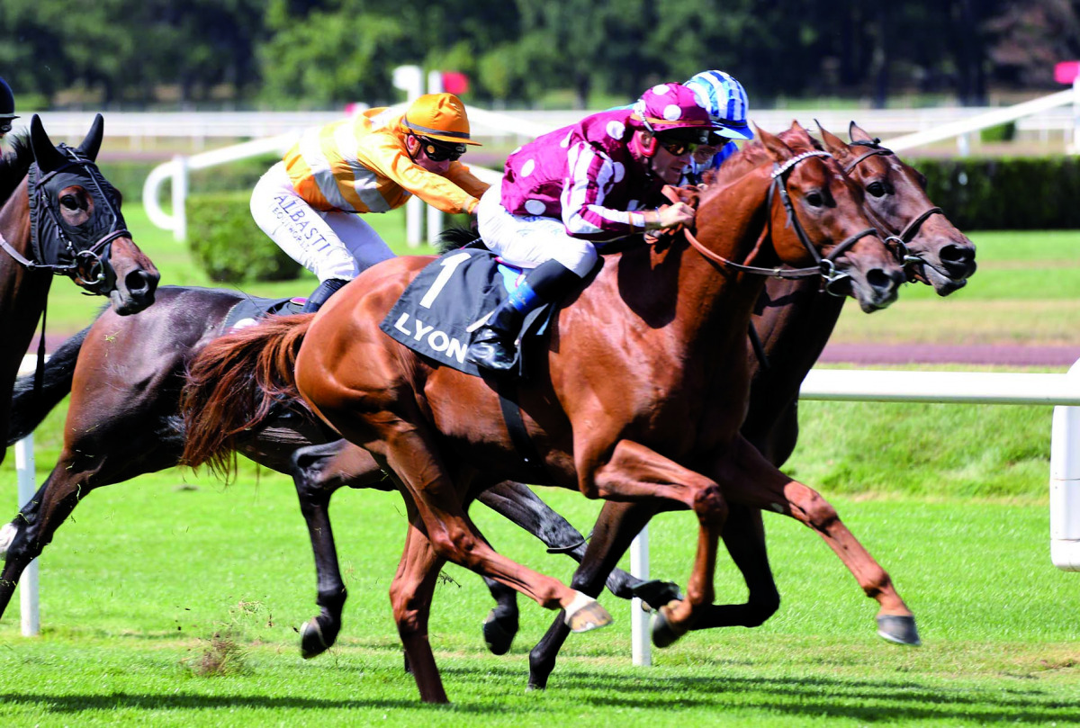 Olivier Peslier guiding Mutabahi to victory. Pic: Studio Henri Durand