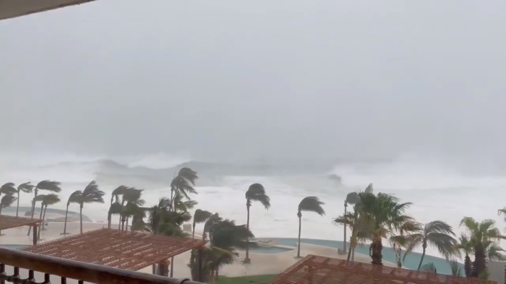 Trees sway amidst heavy rain as Hurricane Olaf sweeps through Cabo San Lucas, Baja California, Mexico, September 9, 2021, in this still image taken from a social media video. Dominique Torres Williams/via REUTERS