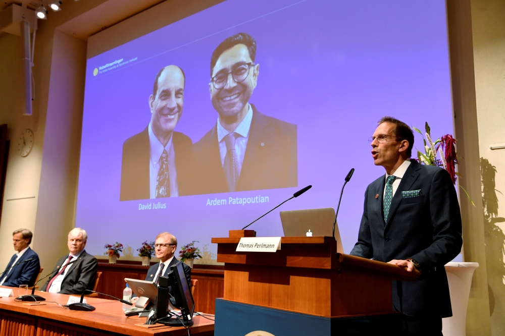 Thomas Perlmann, Secretary of the Nobel Assembly and the Nobel Committee, announces the winners of the 2021 Nobel Prize in Physiology or Medicine David Julius and Ardem Patapoutian (seen on the screen) during a press conference at the Karolinska Institute