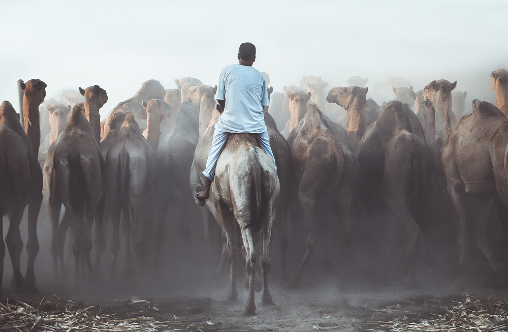 This image by Mohamed Nageeb Nasr was among the winners of Sheikh Saoud Al Thani Single Image Award last year. 