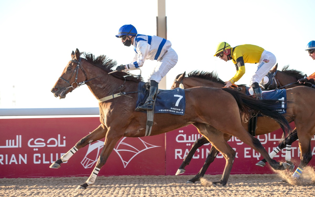 Gold Fleece races to Lisha Cup triumph.