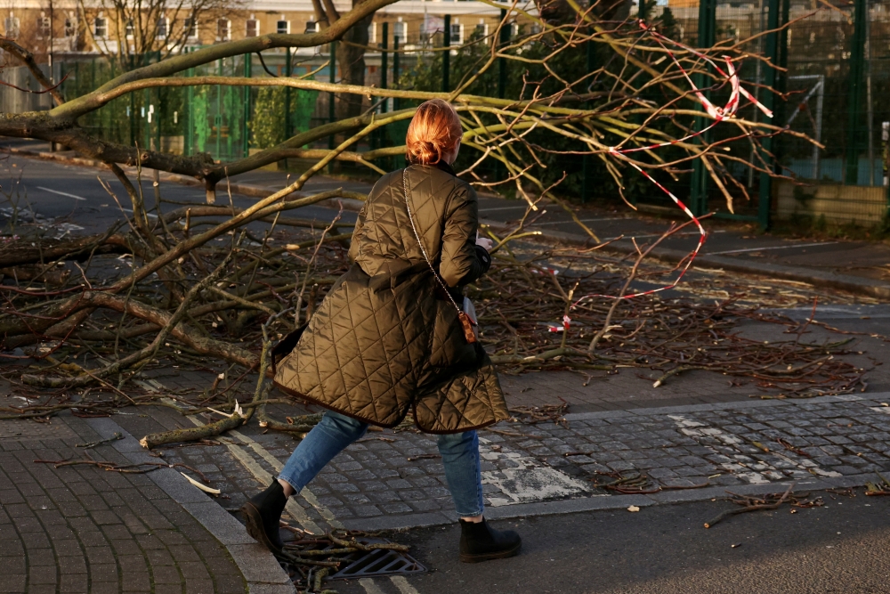 A woman walks past a fallen tree on a side street in Fulham during Storm Eunice, in London, Britain, February 18, 2022. REUTERS/Kevin Coombs