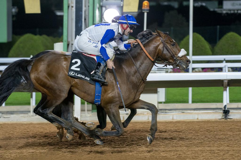 Jockey Olivier Peslier guides Thomas Fourcy-trained Hadi De Carrerre towards the finish line during the Obaiya Arabian Classic Cup (Gr.2 PA).