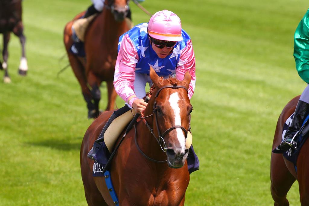 Maxime Guyon guides Samlla towards the finish line. Pic: Scoopdyga