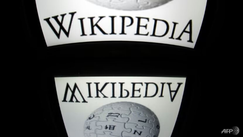 File photo of Wikipedia. (Photo: AFP/Lionel BONAVENTURE)

